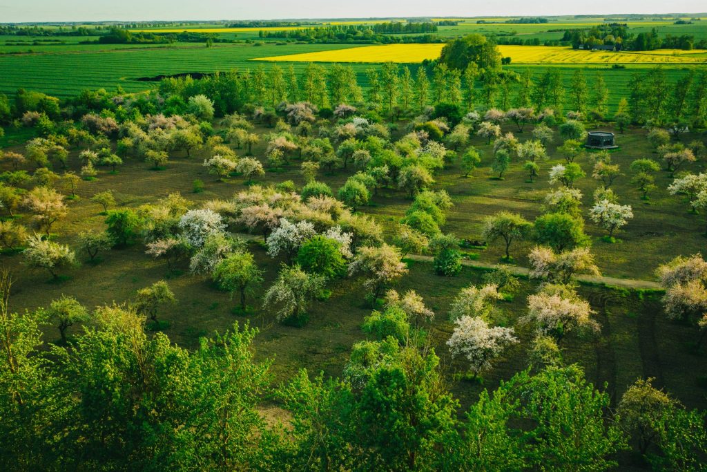 Kā izvēlēties vietu svinībām?