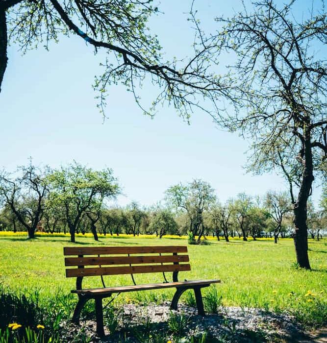 Atpūtas vieta, kas ļaus ikvienam izrauties no ikdienas steigas